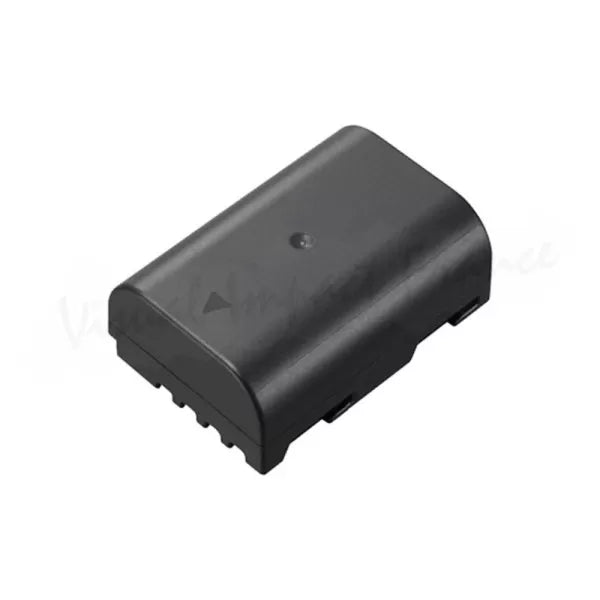 Batterie Lumix DMW-BLF 19E
