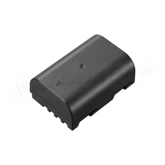 Batterie Lumix DMW-BLF 19E