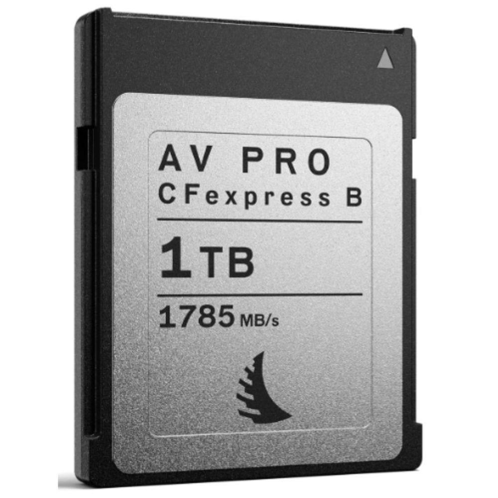 AV PRO SE 1TB CF Express B V4